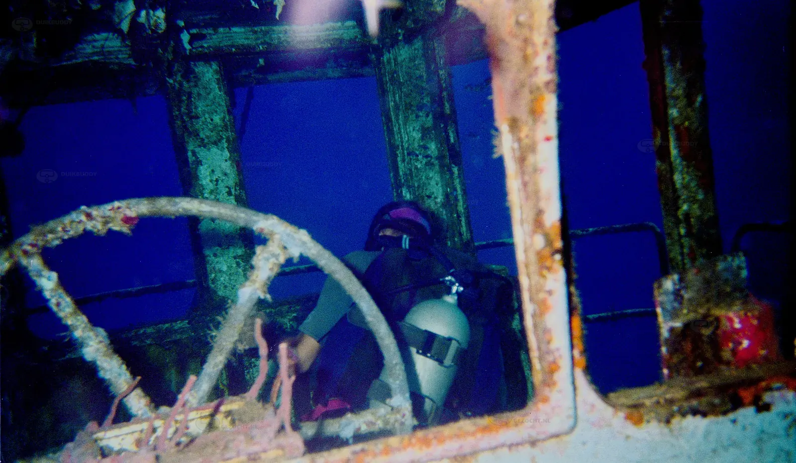 Rons Wreck – Utila